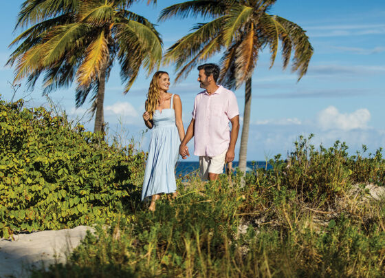 Curate Your Perfect Vacation in The Palm Beaches